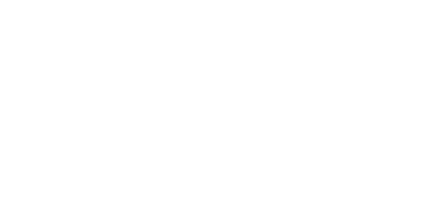 Netmex