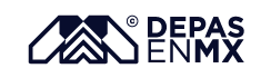 NetMex logo